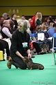 Crufts2011_2 1423